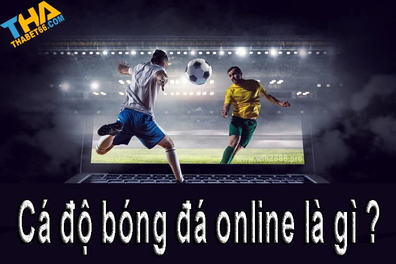 ca-do-bong-da-online-la-gi