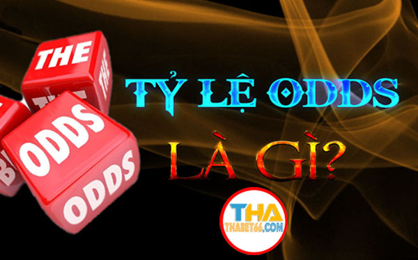 ty-le-odds